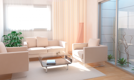 Feng Shui: Aprenda a harmonizar os ambientes da sua casa