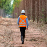 Recorde de queimadas: Eucatex realiza ações preventivas e reforça alerta