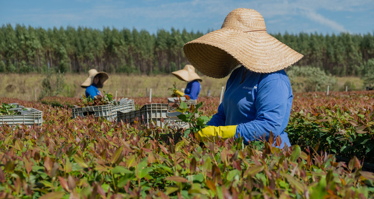 Grupo Eucatex é premiado no World Finance Sustainability Awards, que reconhece empresas que se destacam nas práticas sustentáveis