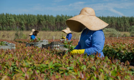 Grupo Eucatex é premiado no World Finance Sustainability Awards, que reconhece empresas que se destacam nas práticas sustentáveis