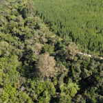 Eucatex publica seu primeiro Relatório de Sustentabilidade e reforça seu compromisso com a transparência e práticas ESG