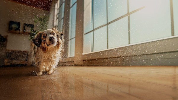 Acqua Resist: conheça a nova tecnologia de resistência à agua dos pisos laminados Eucafloor